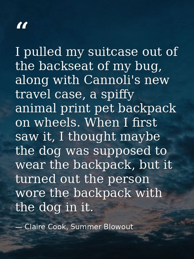 I pulled my suitcase out of the backseat of my bug, along with Cannoli's new travel case, a spiffy animal print pet back — Claire Cook, Summer Blowout