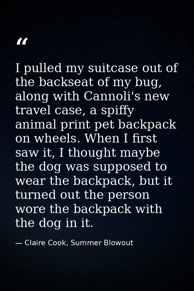 I pulled my suitcase out of the backseat of my bug, along with Cannoli's new travel case, a spiffy animal print pet back — Claire Cook, Summer Blowout