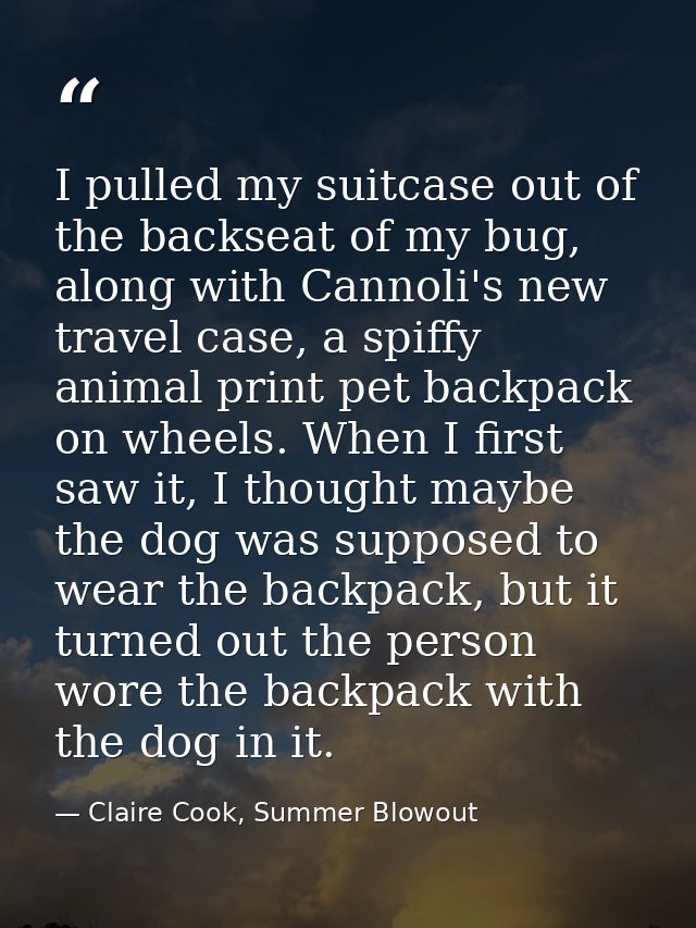 I pulled my suitcase out of the backseat of my bug, along with Cannoli's new travel case, a spiffy animal print pet back — Claire Cook, Summer Blowout