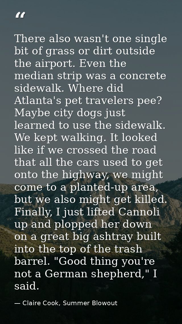 There also wasn't one single bit of grass or dirt outside the airport. Even the median strip was a concrete sidewalk. Wh — Claire Cook, Summer Blowout