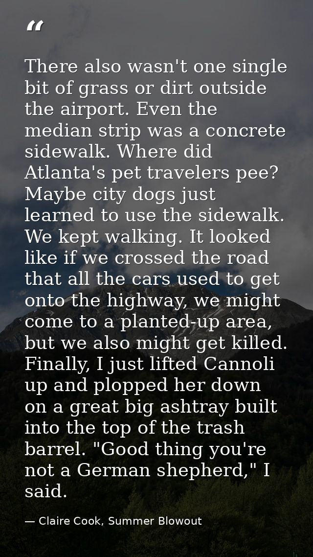 There also wasn't one single bit of grass or dirt outside the airport. Even the median strip was a concrete sidewalk. Wh — Claire Cook, Summer Blowout