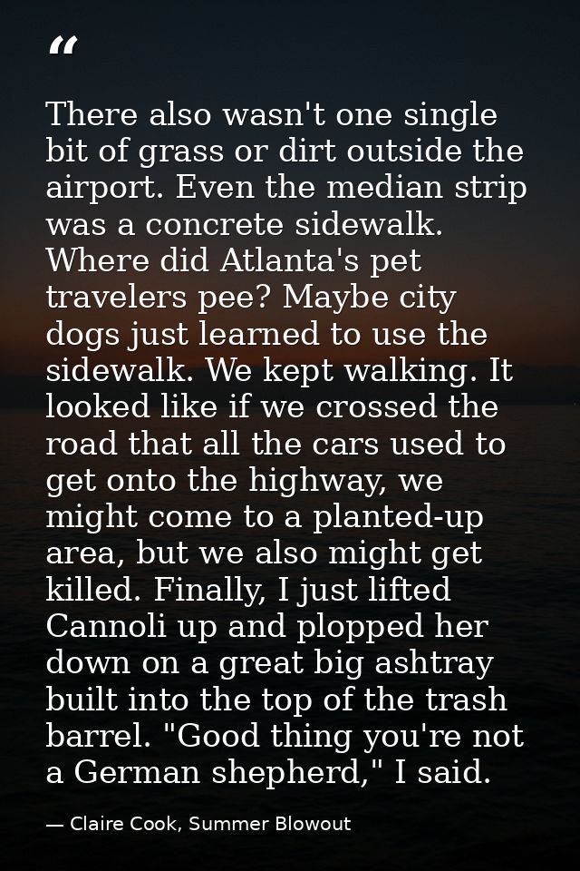There also wasn't one single bit of grass or dirt outside the airport. Even the median strip was a concrete sidewalk. Wh — Claire Cook, Summer Blowout