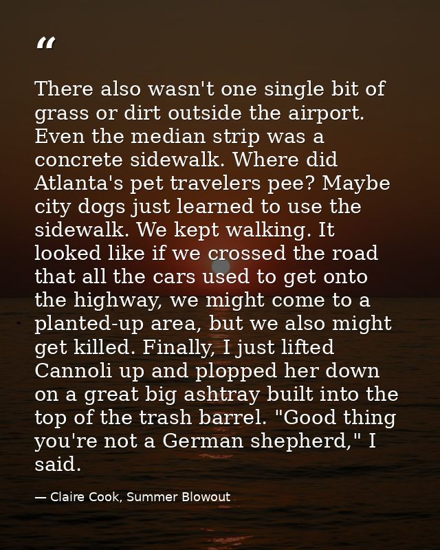 There also wasn't one single bit of grass or dirt outside the airport. Even the median strip was a concrete sidewalk. Wh — Claire Cook, Summer Blowout