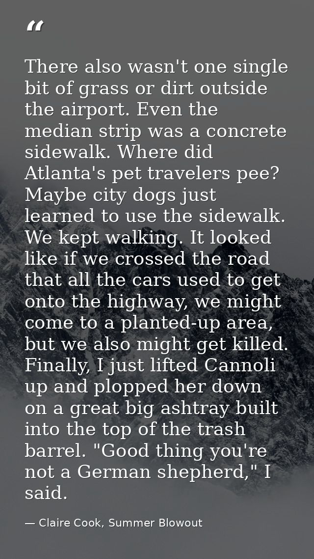 There also wasn't one single bit of grass or dirt outside the airport. Even the median strip was a concrete sidewalk. Wh — Claire Cook, Summer Blowout