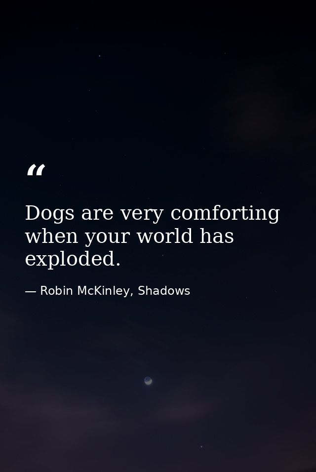 Dogs are very comforting when your world has exploded. — Robin McKinley, Shadows