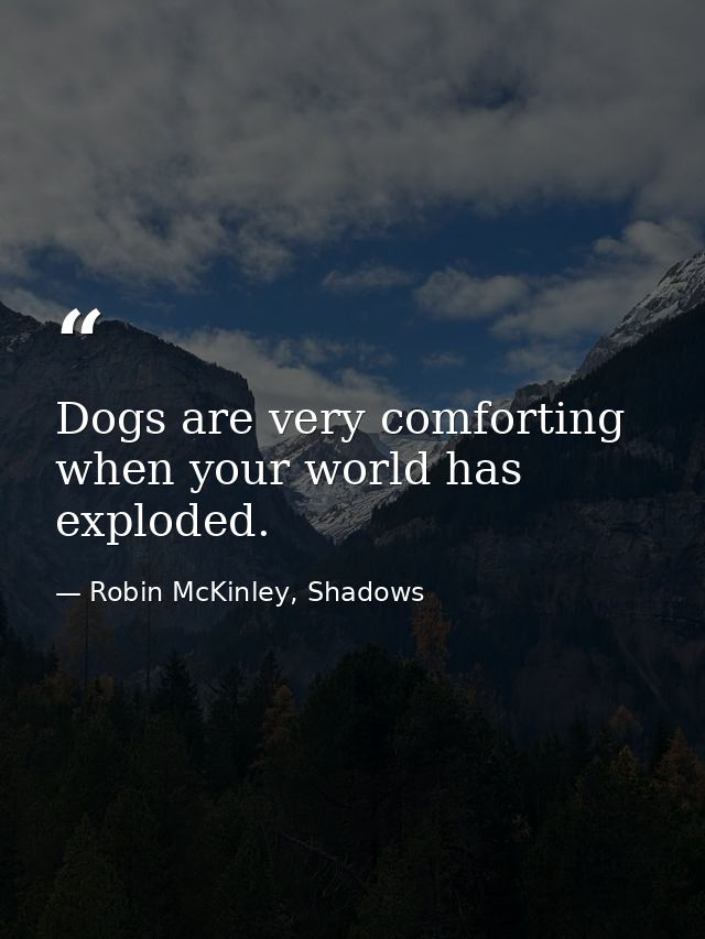 Dogs are very comforting when your world has exploded. — Robin McKinley, Shadows