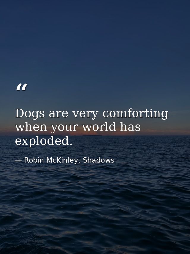 Dogs are very comforting when your world has exploded. — Robin McKinley, Shadows