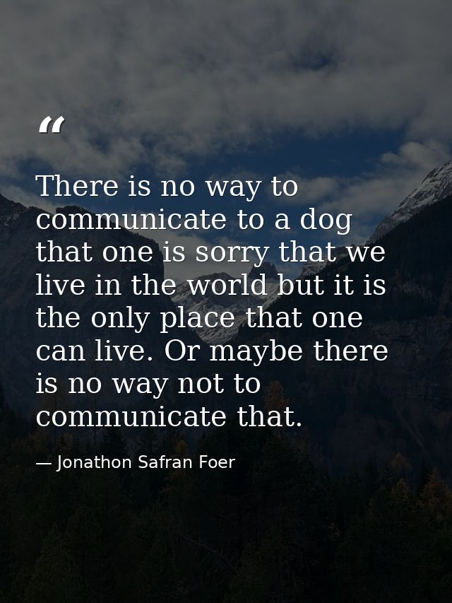 There is no way to communicate to a dog that one is sorry that we live in the world but it is the only place that one ca — Jonathon Safran Foer