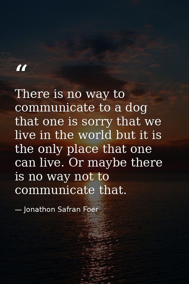 There is no way to communicate to a dog that one is sorry that we live in the world but it is the only place that one ca — Jonathon Safran Foer