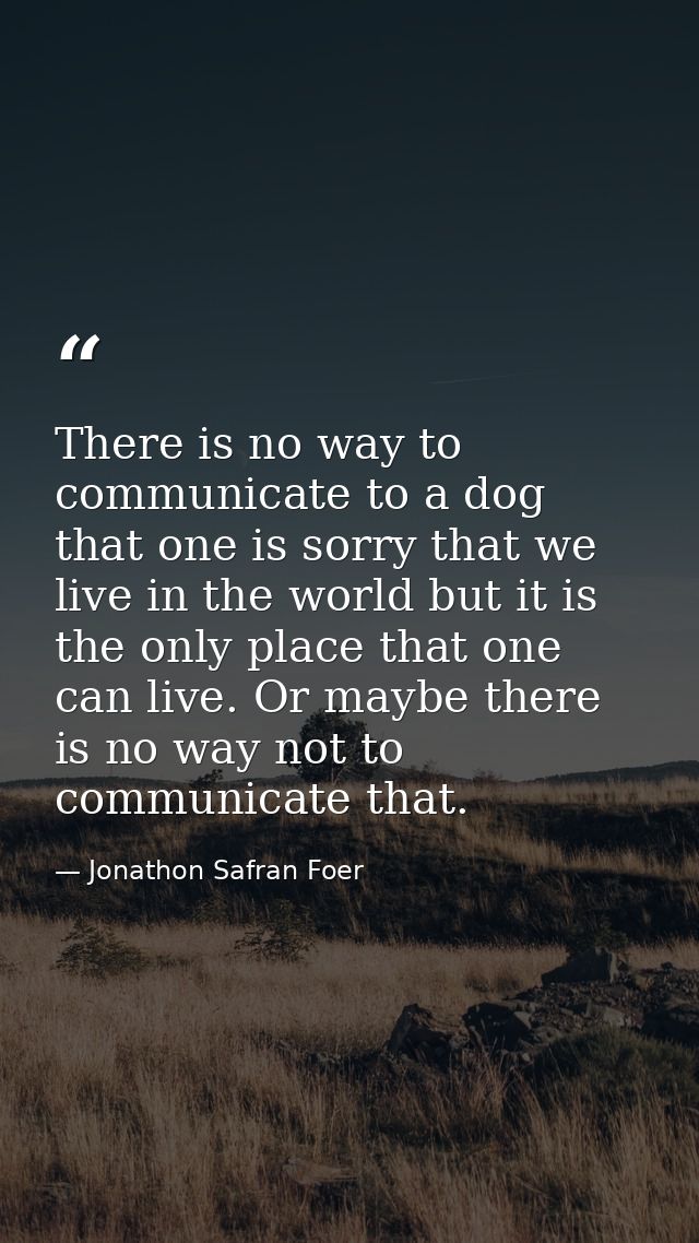 There is no way to communicate to a dog that one is sorry that we live in the world but it is the only place that one ca — Jonathon Safran Foer