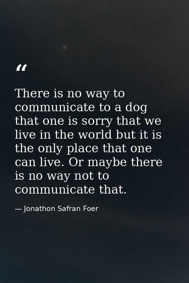 There is no way to communicate to a dog that one is sorry that we live in the world but it is the only place that one ca — Jonathon Safran Foer