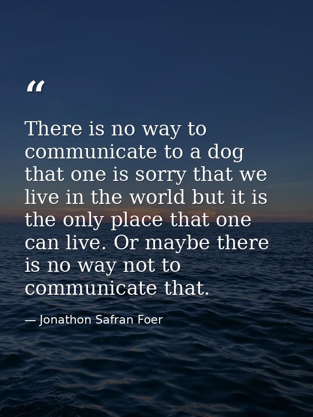 There is no way to communicate to a dog that one is sorry that we live in the world but it is the only place that one ca — Jonathon Safran Foer