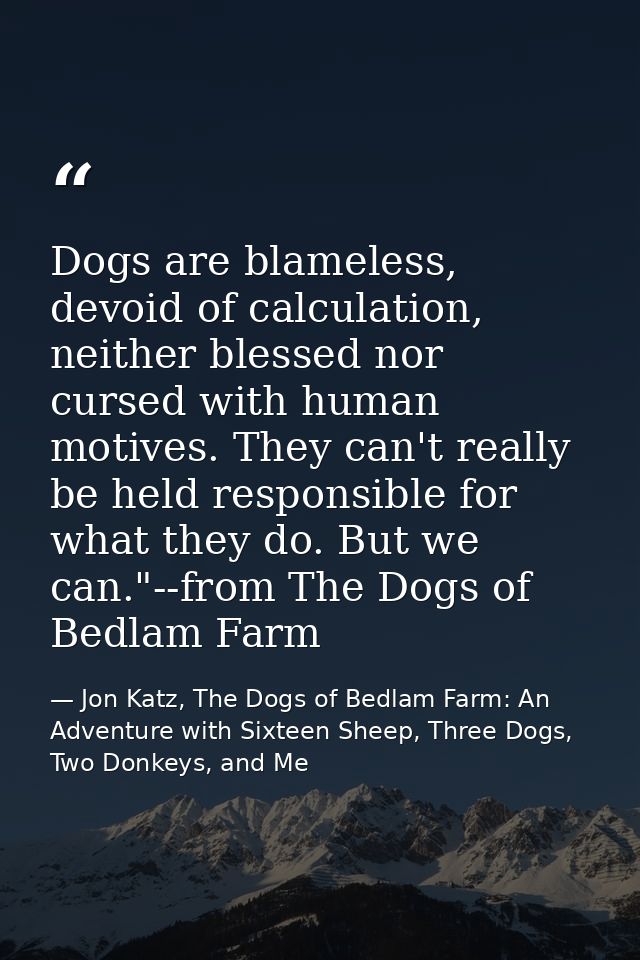 Dogs are blameless, devoid of calculation, neither blessed nor cursed with human motives. They can't really be held resp — Jon Katz, The Dogs of Bedlam Farm: An Adventure with Sixteen Sheep, Three Dogs, Two Donkeys, and Me