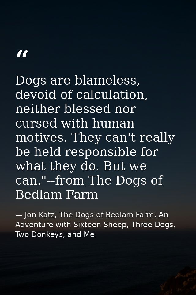 Dogs are blameless, devoid of calculation, neither blessed nor cursed with human motives. They can't really be held resp — Jon Katz, The Dogs of Bedlam Farm: An Adventure with Sixteen Sheep, Three Dogs, Two Donkeys, and Me