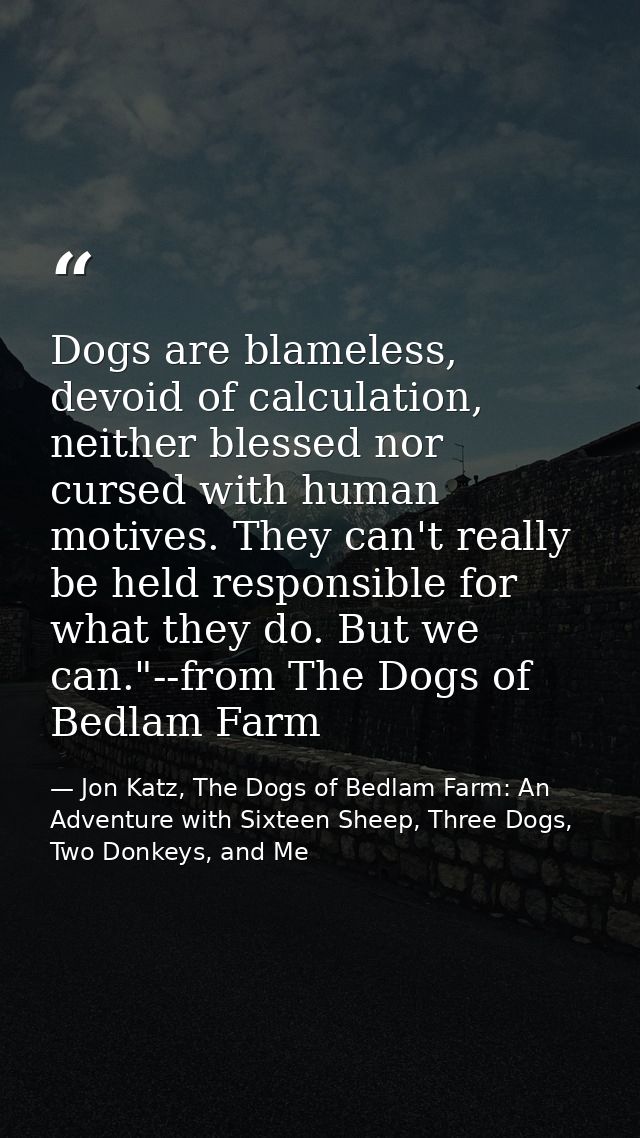 Dogs are blameless, devoid of calculation, neither blessed nor cursed with human motives. They can't really be held resp — Jon Katz, The Dogs of Bedlam Farm: An Adventure with Sixteen Sheep, Three Dogs, Two Donkeys, and Me