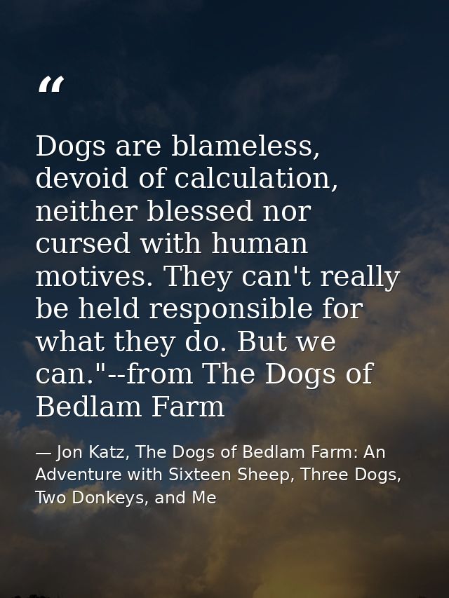Dogs are blameless, devoid of calculation, neither blessed nor cursed with human motives. They can't really be held resp — Jon Katz, The Dogs of Bedlam Farm: An Adventure with Sixteen Sheep, Three Dogs, Two Donkeys, and Me