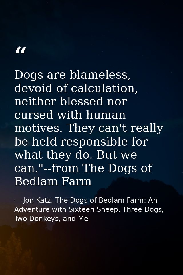 Dogs are blameless, devoid of calculation, neither blessed nor cursed with human motives. They can't really be held resp — Jon Katz, The Dogs of Bedlam Farm: An Adventure with Sixteen Sheep, Three Dogs, Two Donkeys, and Me