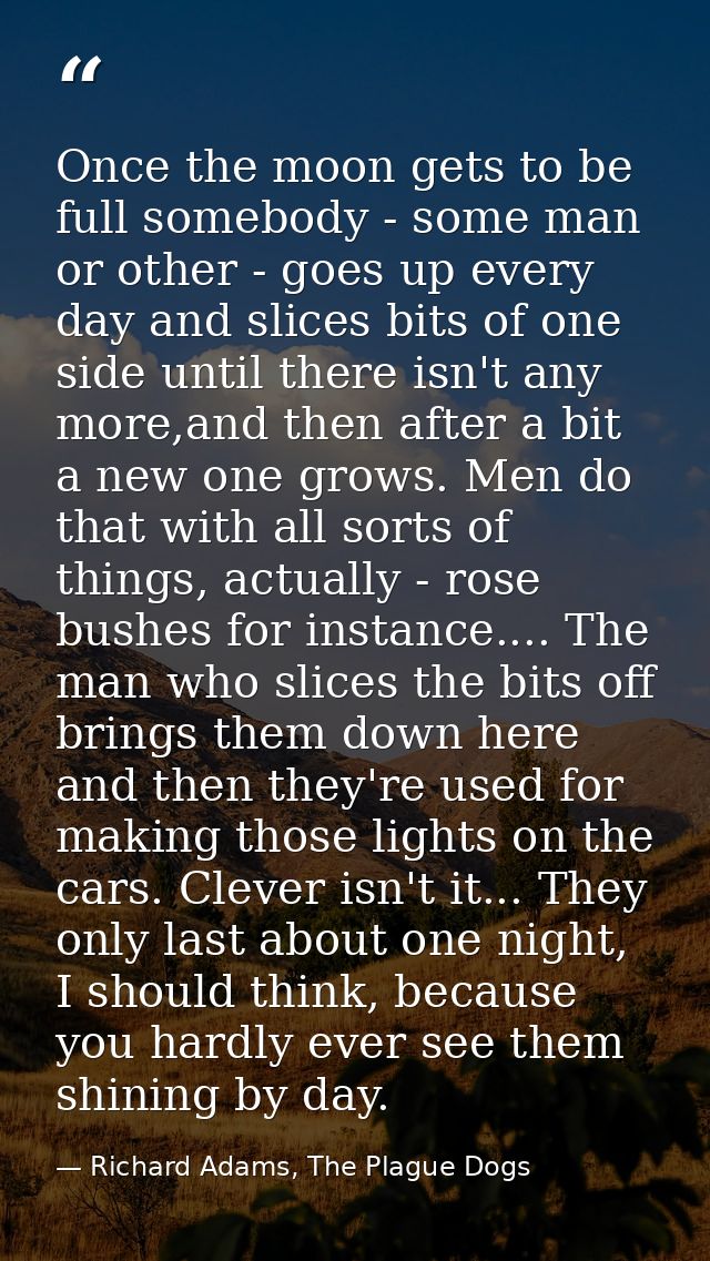 Once the moon gets to be full somebody - some man or other - goes up every day and slices bits of one side until there i — Richard Adams, The Plague Dogs