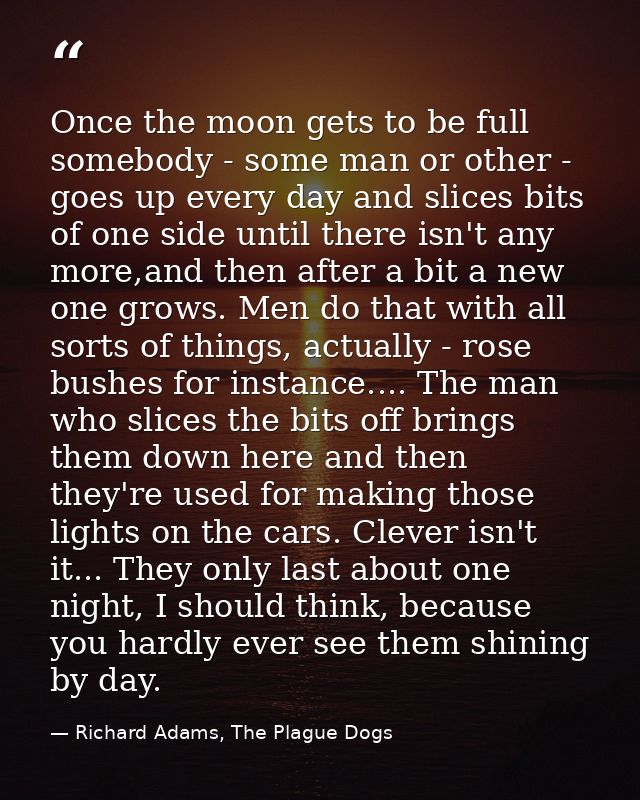 Once the moon gets to be full somebody - some man or other - goes up every day and slices bits of one side until there i — Richard Adams, The Plague Dogs