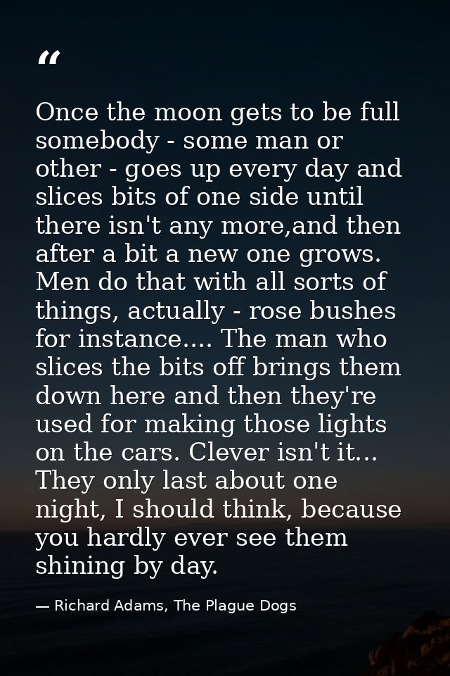 Once the moon gets to be full somebody - some man or other - goes up every day and slices bits of one side until there i — Richard Adams, The Plague Dogs