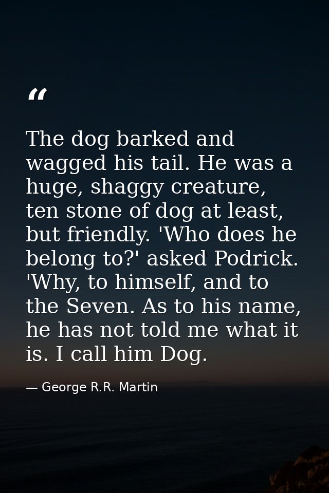 The dog barked and wagged his tail. He was a huge, shaggy creature, ten stone of dog at least, but friendly. 'Who does h — George R.R. Martin