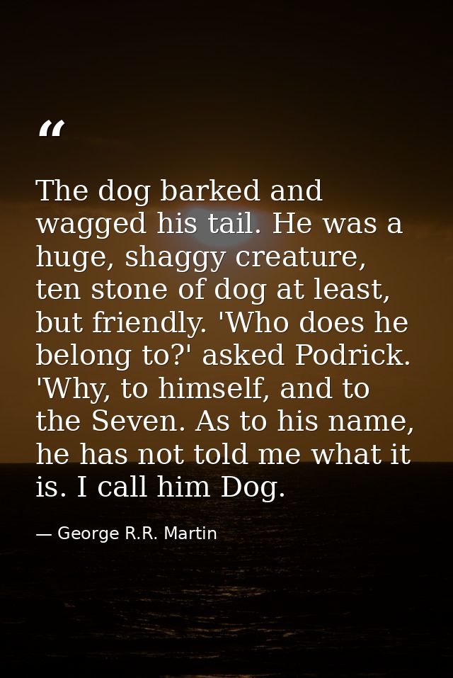 The dog barked and wagged his tail. He was a huge, shaggy creature, ten stone of dog at least, but friendly. 'Who does h — George R.R. Martin