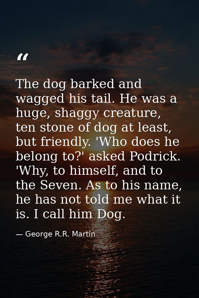 The dog barked and wagged his tail. He was a huge, shaggy creature, ten stone of dog at least, but friendly. 'Who does h — George R.R. Martin
