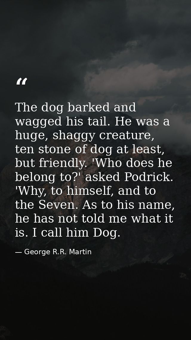 The dog barked and wagged his tail. He was a huge, shaggy creature, ten stone of dog at least, but friendly. 'Who does h — George R.R. Martin