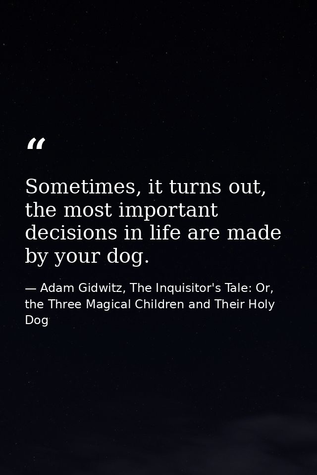Sometimes, it turns out, the most important decisions in life are made by your dog. — Adam Gidwitz, The Inquisitor's Tale: Or, the Three Magical Children and Their Holy Dog
