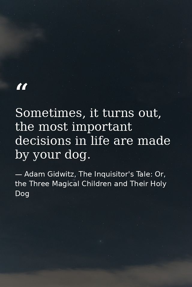 Sometimes, it turns out, the most important decisions in life are made by your dog. — Adam Gidwitz, The Inquisitor's Tale: Or, the Three Magical Children and Their Holy Dog