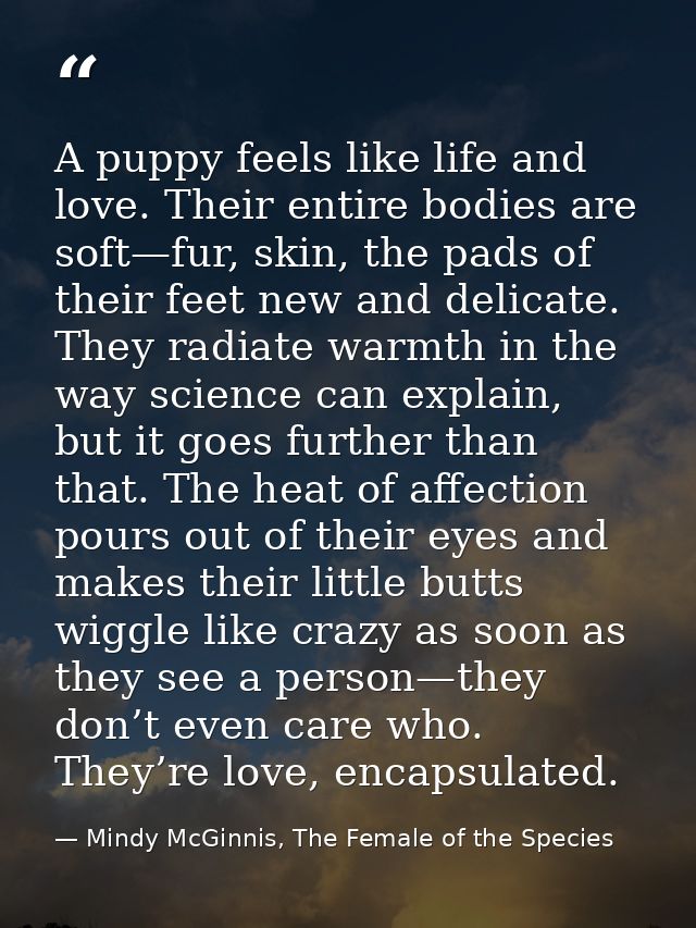 A puppy feels like life and love. Their entire bodies are soft—fur, skin, the pads of their feet new and delicate. They  — Mindy McGinnis, The Female of the Species
