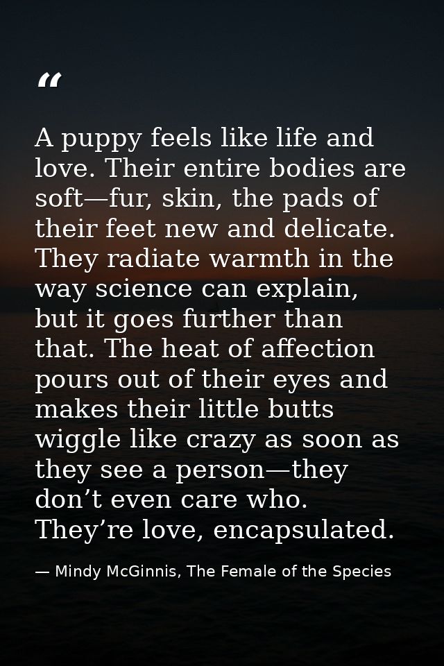 A puppy feels like life and love. Their entire bodies are soft—fur, skin, the pads of their feet new and delicate. They  — Mindy McGinnis, The Female of the Species