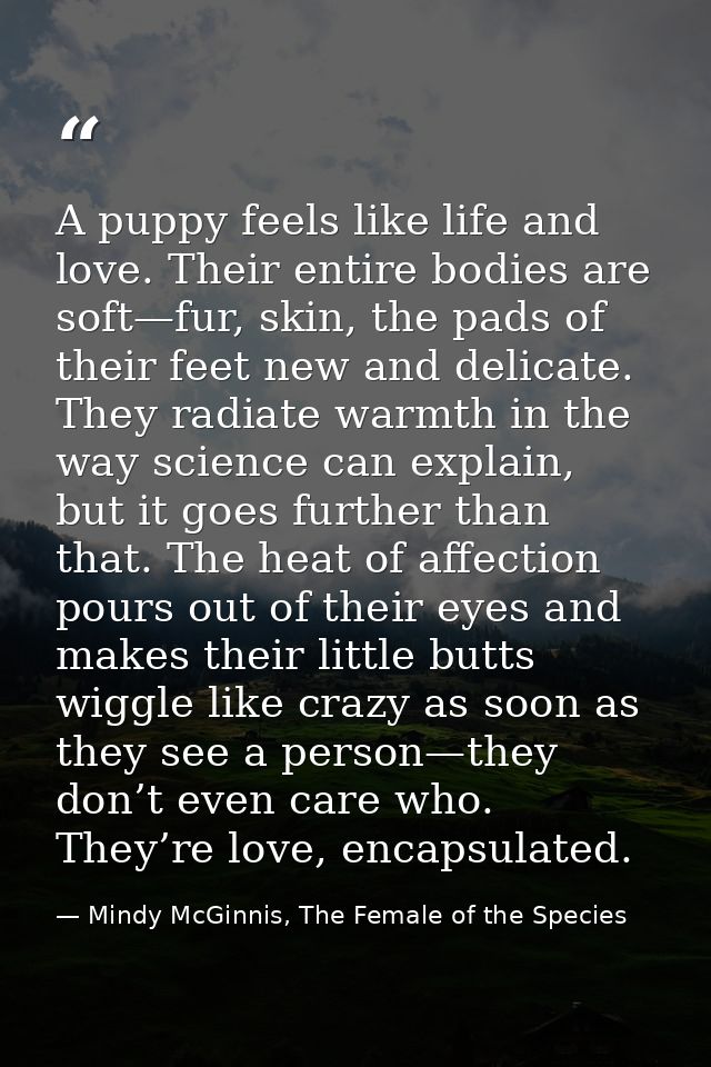 A puppy feels like life and love. Their entire bodies are soft—fur, skin, the pads of their feet new and delicate. They  — Mindy McGinnis, The Female of the Species