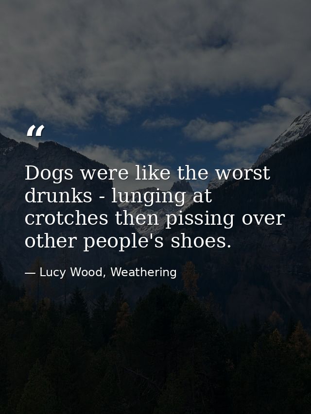 Dogs were like the worst drunks - lunging at crotches then pissing over other people's shoes. — Lucy Wood, Weathering