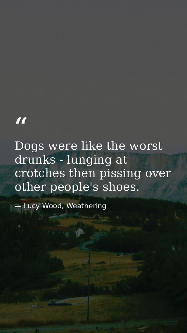Dogs were like the worst drunks - lunging at crotches then pissing over other people's shoes. — Lucy Wood, Weathering