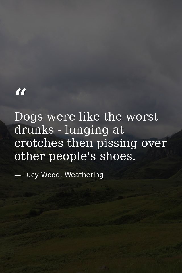 Dogs were like the worst drunks - lunging at crotches then pissing over other people's shoes. — Lucy Wood, Weathering