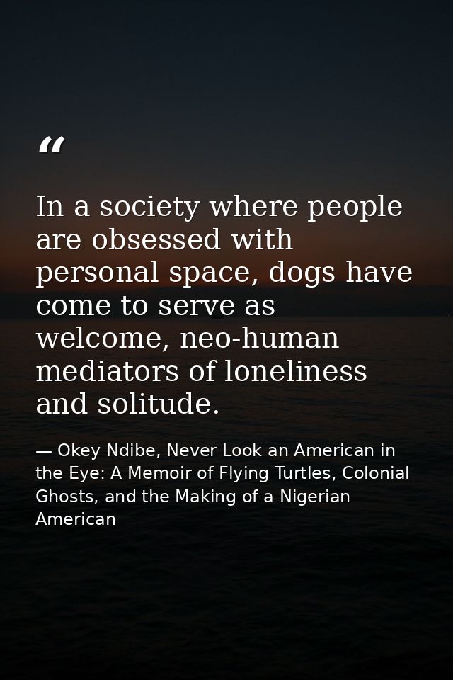 In a society where people are obsessed with personal space, dogs have come to serve as welcome, neo-human mediators of l — Okey Ndibe, Never Look an American in the Eye: A Memoir of Flying Turtles, Colonial Ghosts, and the Making of a Nigerian American