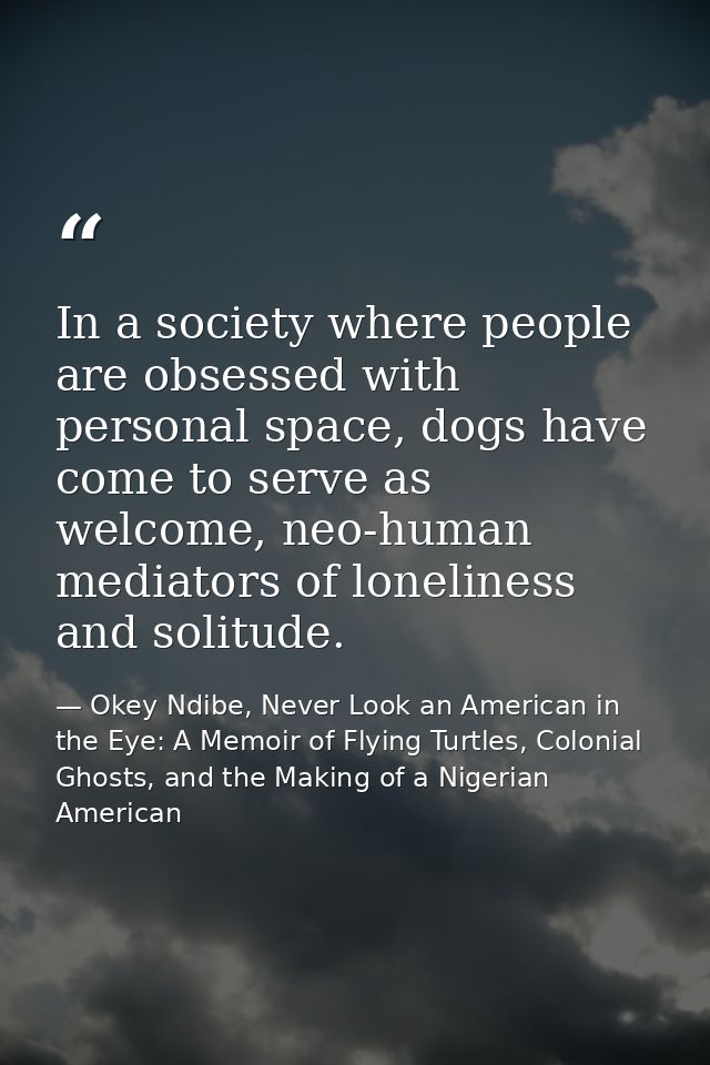 In a society where people are obsessed with personal space, dogs have come to serve as welcome, neo-human mediators of l — Okey Ndibe, Never Look an American in the Eye: A Memoir of Flying Turtles, Colonial Ghosts, and the Making of a Nigerian American