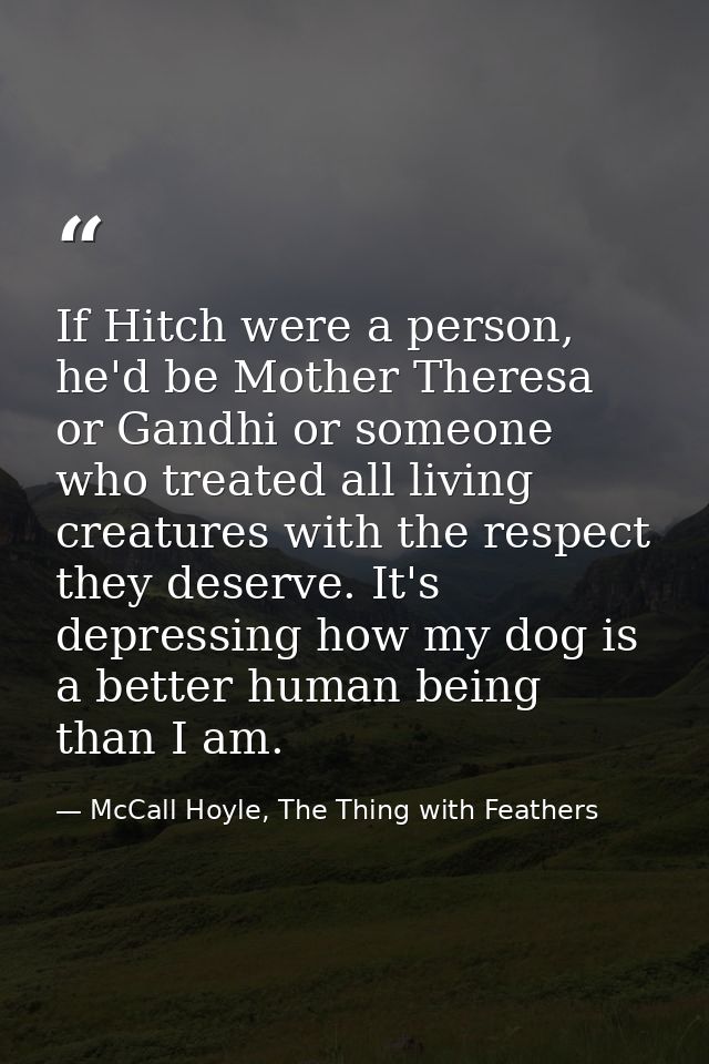 If Hitch were a person, he'd be Mother Theresa or Gandhi or someone who treated all living creatures with the respect th — McCall Hoyle, The Thing with Feathers