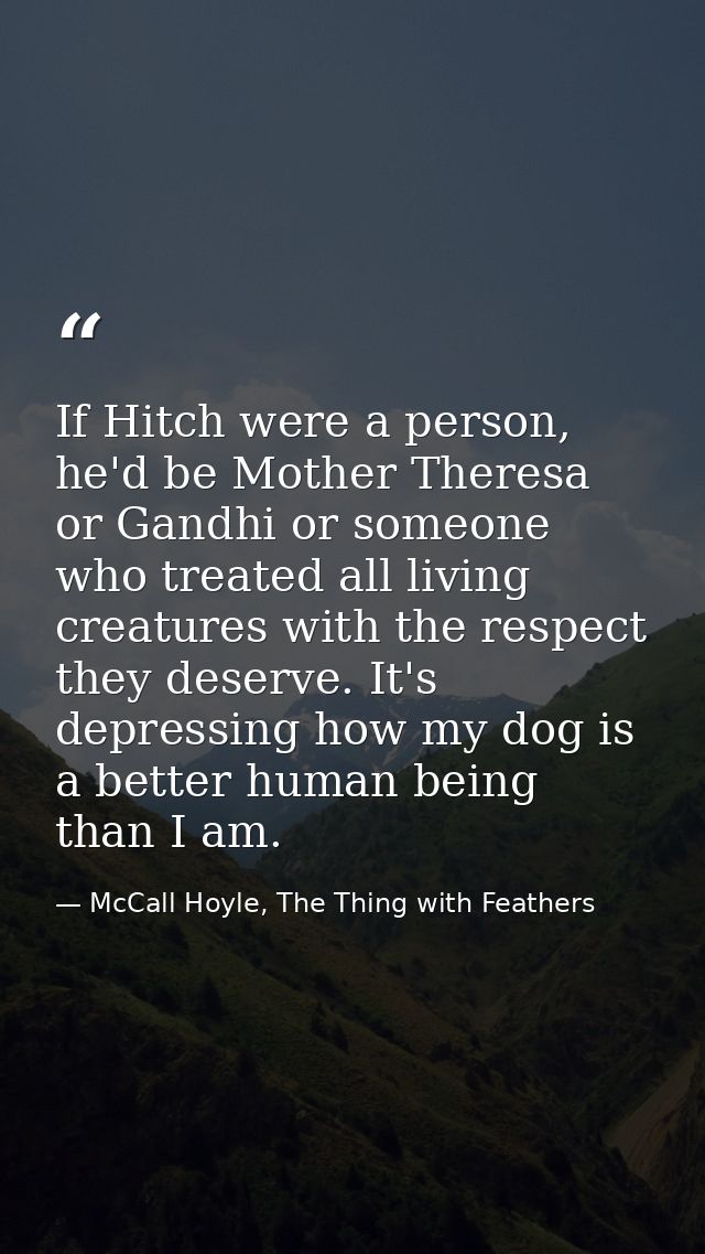 If Hitch were a person, he'd be Mother Theresa or Gandhi or someone who treated all living creatures with the respect th — McCall Hoyle, The Thing with Feathers