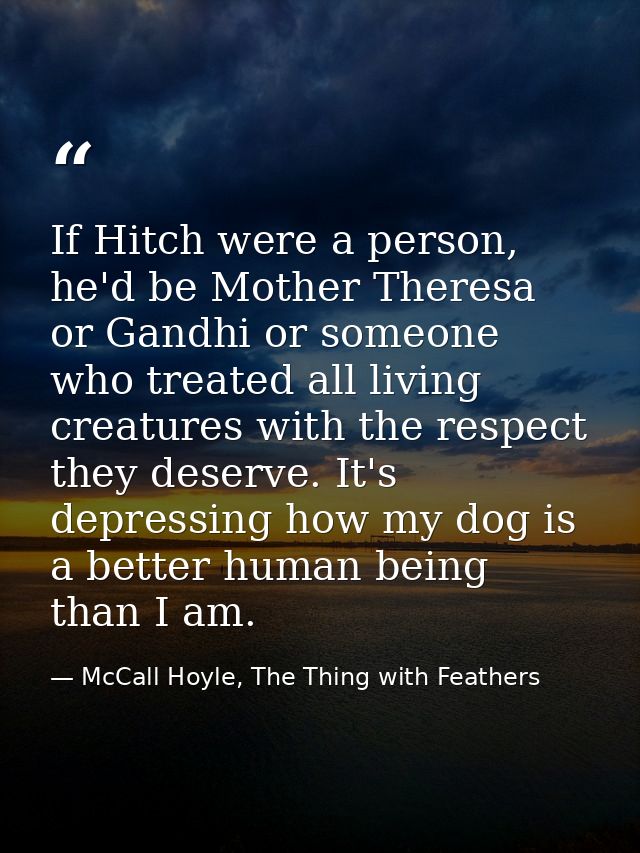 If Hitch were a person, he'd be Mother Theresa or Gandhi or someone who treated all living creatures with the respect th — McCall Hoyle, The Thing with Feathers