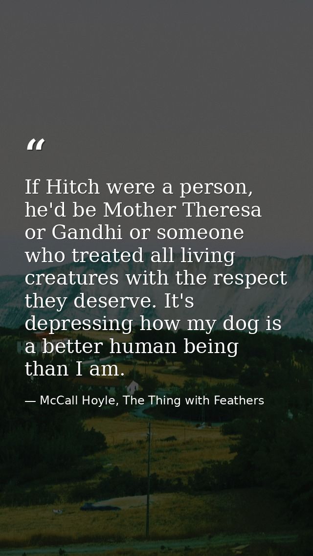 If Hitch were a person, he'd be Mother Theresa or Gandhi or someone who treated all living creatures with the respect th — McCall Hoyle, The Thing with Feathers