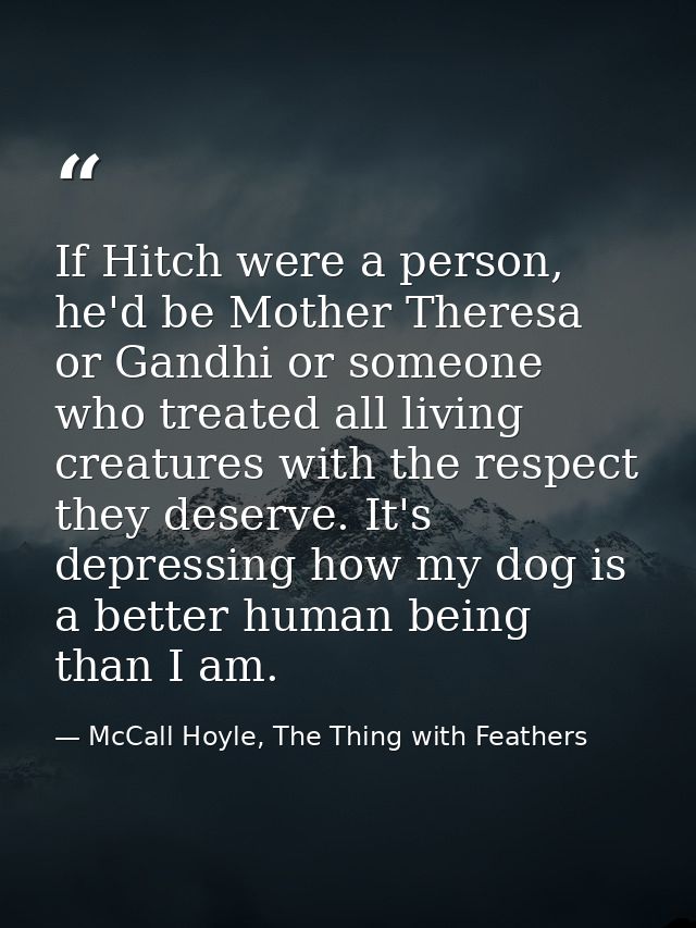 If Hitch were a person, he'd be Mother Theresa or Gandhi or someone who treated all living creatures with the respect th — McCall Hoyle, The Thing with Feathers