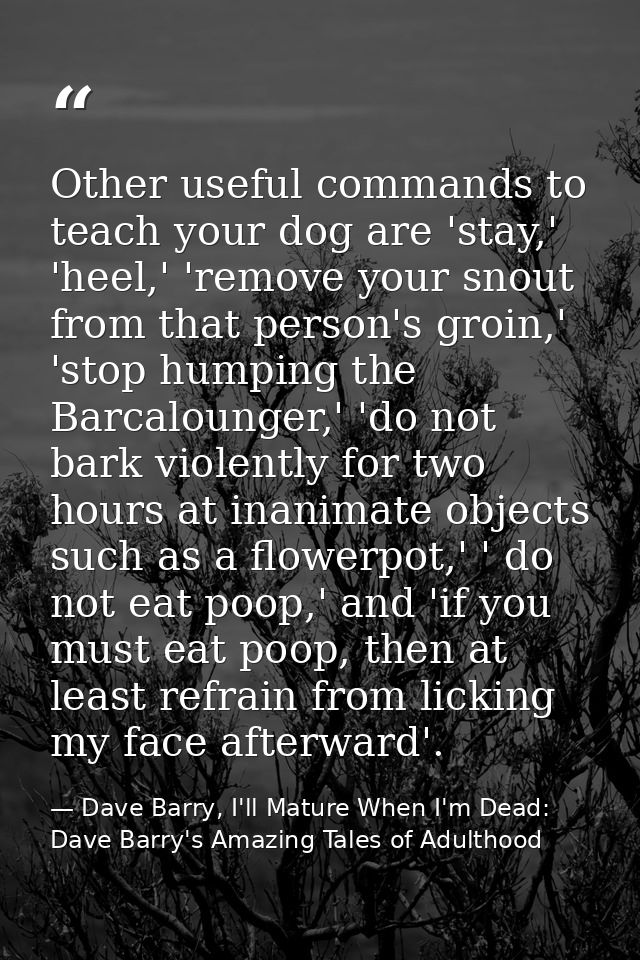 Other useful commands to teach your dog are 'stay,' 'heel,' 'remove your snout from that person's groin,' 'stop humping  — Dave Barry, I'll Mature When I'm Dead: Dave Barry's Amazing Tales of Adulthood
