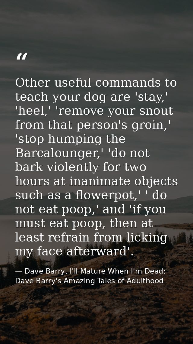 Other useful commands to teach your dog are 'stay,' 'heel,' 'remove your snout from that person's groin,' 'stop humping  — Dave Barry, I'll Mature When I'm Dead: Dave Barry's Amazing Tales of Adulthood