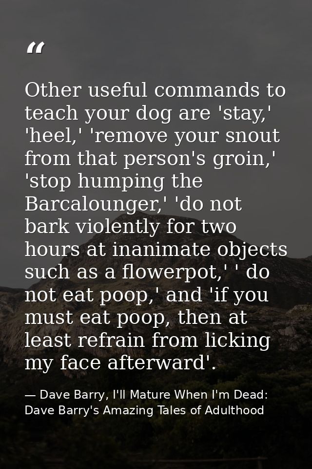 Other useful commands to teach your dog are 'stay,' 'heel,' 'remove your snout from that person's groin,' 'stop humping  — Dave Barry, I'll Mature When I'm Dead: Dave Barry's Amazing Tales of Adulthood