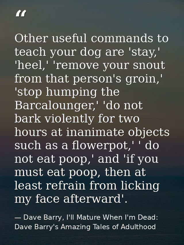 Other useful commands to teach your dog are 'stay,' 'heel,' 'remove your snout from that person's groin,' 'stop humping  — Dave Barry, I'll Mature When I'm Dead: Dave Barry's Amazing Tales of Adulthood