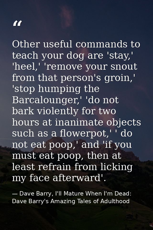 Other useful commands to teach your dog are 'stay,' 'heel,' 'remove your snout from that person's groin,' 'stop humping  — Dave Barry, I'll Mature When I'm Dead: Dave Barry's Amazing Tales of Adulthood