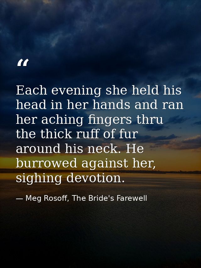Each evening she held his head in her hands and ran her aching fingers thru the thick ruff of fur around his neck. He bu — Meg Rosoff, The Bride's Farewell