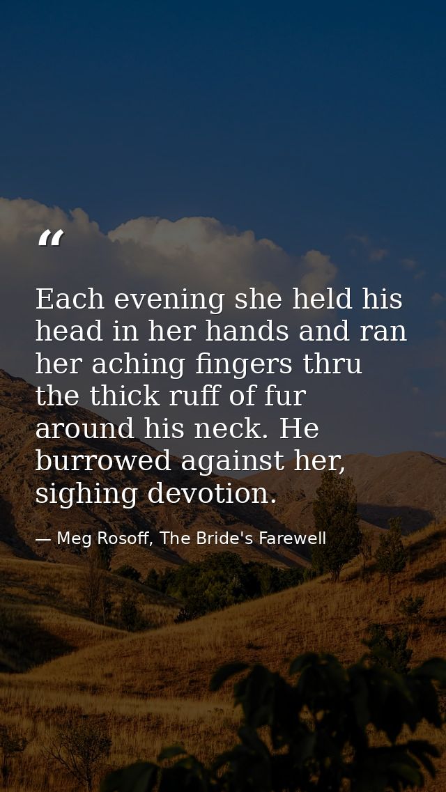 Each evening she held his head in her hands and ran her aching fingers thru the thick ruff of fur around his neck. He bu — Meg Rosoff, The Bride's Farewell